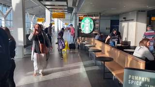 2. Ultra Rare - Air Belgium At Heathrow Terminal 5 Gate C57 - 18102019