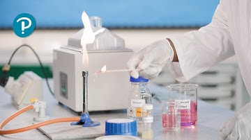 Pearson Edexcel (9-1) GCSE Biology Core Practical - investigating the effects of antibiotics