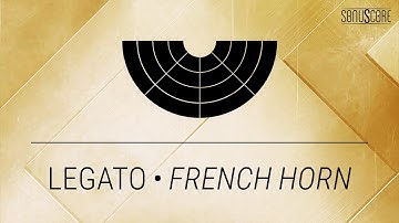 THE ORCHESTRA COMPLETE | Pure Performance Legato • French Horn