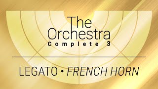 THE ORCHESTRA COMPLETE 3 | Pure Performance Legato • French Horn screenshot 3