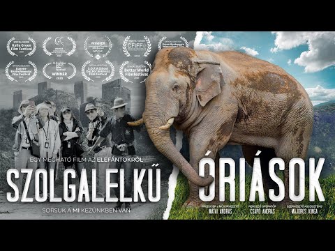 🐘 SZOLGALELKŰ ÓRIÁSOK - díjnyertes dokumentumfilm az elefántokról 2021