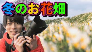 F値2.8のボケがあると写真のバリエーションが豊かに！
