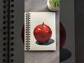 Apple Acrylic On Paper Realisticart Stilllife Acrylicpainting Artshorts Apple Acrylic On Paper Realisticart Stilllife Acrylicpainting Artshorts