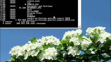 Создание и удаление папки "con" (making con folder)