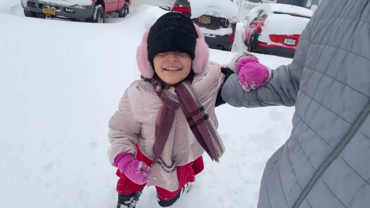 Another snowday in new york