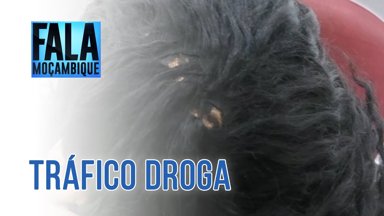 TRÁFICO DE DROGA, 24/09/2021