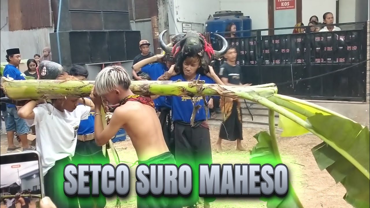 Kalapan Bantengan SETCO SURO MAHESO Tutut Arjowinangun gang 3 