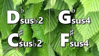 Dbsus B2 C B2 To Gbsus4 F Backing Track