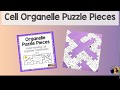 Organelle puzzle pieces