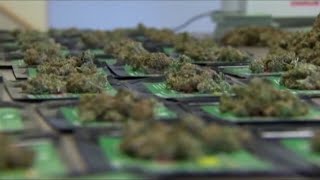 Virginia lawmakers approve marijuana legalization