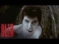 'Wake Me Up' Scene | Bled