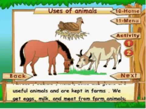 learn science class 1 animal life types of animals part 4 types of animals