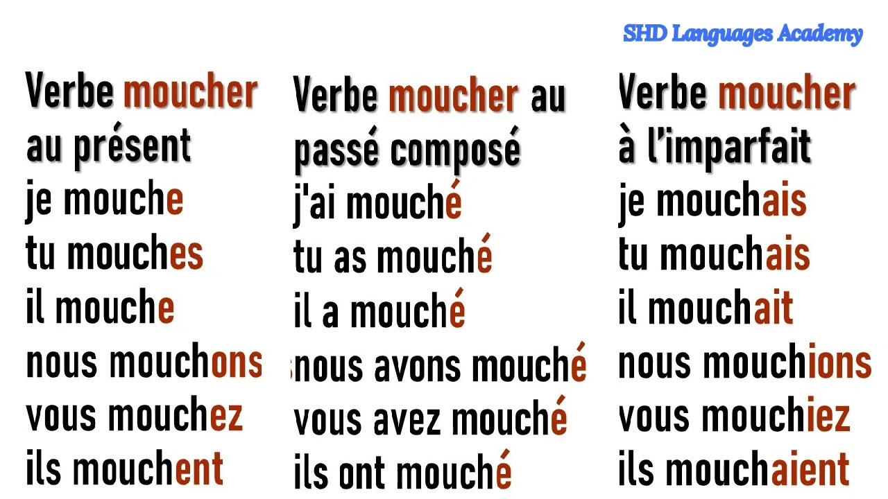 Conjugaison du verbe MOUCHER / speak french, learn french,apprendre le français