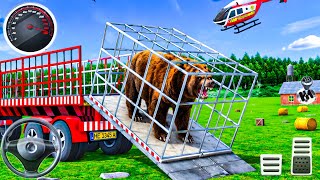 Wild Bear Transport Truck 🚛🐻 | Extreme Animal Transport Simulator | Offroad Truck Driving Gameplay screenshot 1