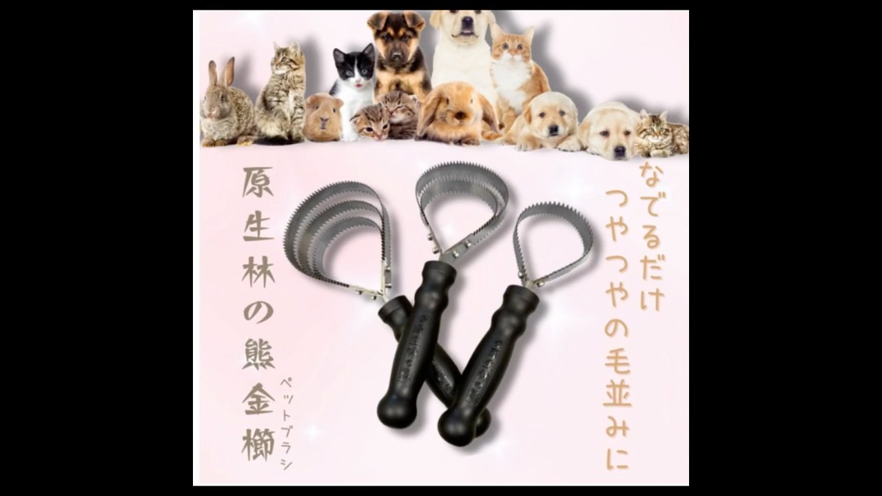 原生林の熊金櫛（ペットブラシ）再登場‼️】#原生林の熊金櫛 #換毛期