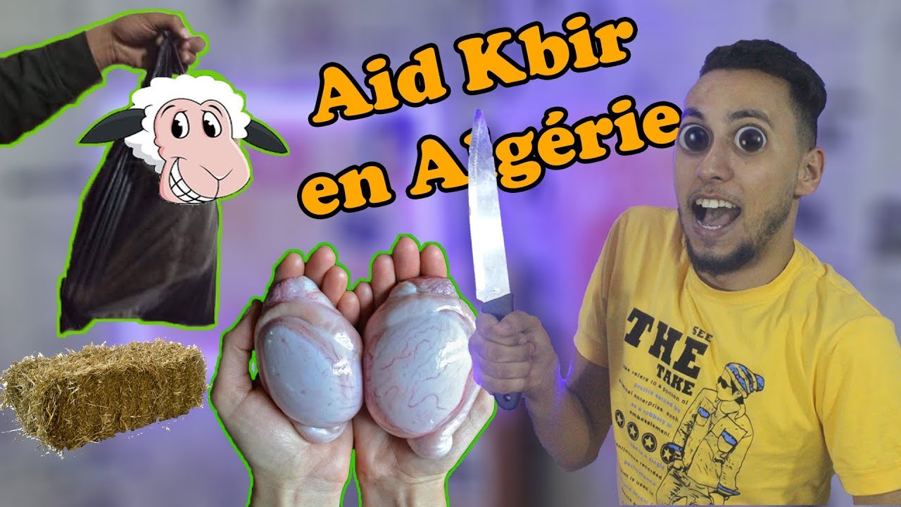 Hichem DN - Aïd Kbir en Algérie | عيد الأضحى في الجزائر - YouTube