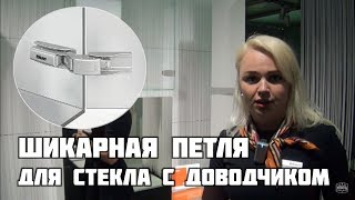 Шикарная петля для стекла с доводчиком