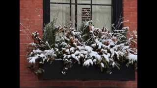 Brooklyn window boxes, outdoor Christmas, Brooklyn brownstone.