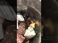 POV: you have crystals and people don’t like you because of it