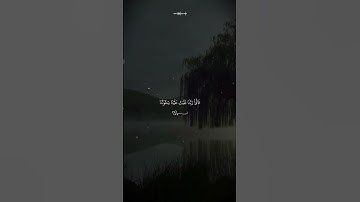 ﴿أَلَمْ تَكُنْ آيَاتِي تُتْلَىٰ عَلَيْكُمْ﴾ | تلاوة مبكية من سورة المؤمنون #إسلام_صبحي #قرآن #تلاوة