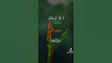 سوره الواقعة القران کریم Quran surah alwaqah #allah #duet #dawwah #islamicdawah #alquran
