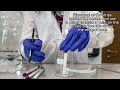 Paper Chromatography Experiment