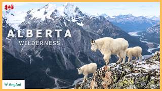 Alberta: A Natural History Written in Wild Silence and Change