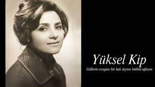 Yüksel Kip ~ Güllerin Rengine Bir Bak Deyme Bülbül Ağlasın