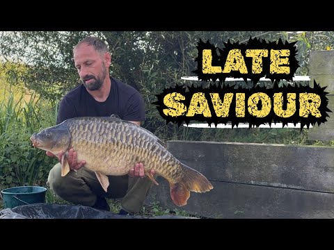 24hrs On Torridge Carp Lakes | Fully Scaled Reward 