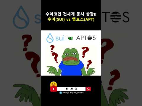 수이 SUI Vs 앱토스 APT 수이코인 전세계 동시 상장 Shorts Bitcoin Upbit Binance Bybit Ntf Sui 코인이슈 