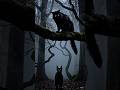 Black Cat | #wildlife #cat #cute #facts #viral #cartoon #horrorstories #shorts #animation #animals