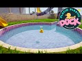 【2025/3/28アーカイブ】アヒル見る雑