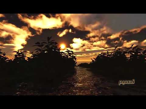 نظم تنظيم مالد