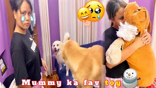 Mummy ka dusra favourite toy phad diya Buddy, Bella & Blessie ?? | Full day routine with my pets