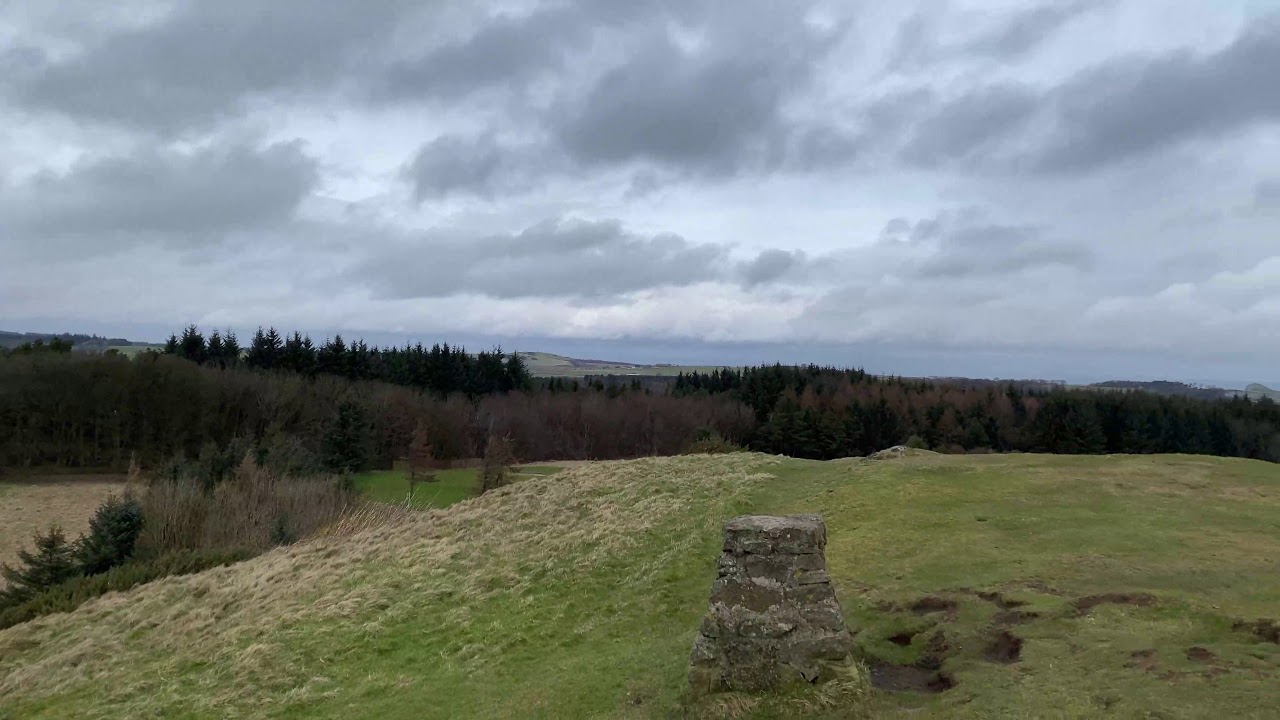 dechmont law 14 3 2020