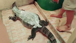 BEGINI CARA BiAWAK BESAR MANDI