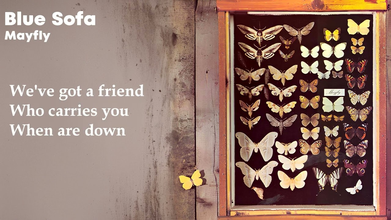 Mayfly - Blue Sofa (Lyric Video) adlı videoyu YouTube'da izle Mayfly - Blue Sofa (Lyric Video) adlı videoyu YouTube'da izle