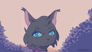 Jerome MAP Part 1 (Warrior Cats)