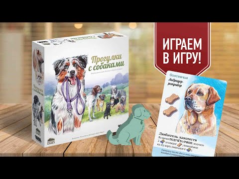 Видео: ПРОГУЛКИ С СОБАКАМИ: играем в семейную настольную игру