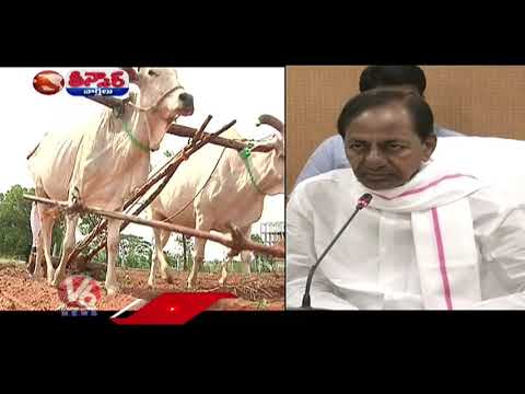 Banks Charges Interest On Crop Loans, With Delay of Rythu Runa Mafi | V6 Teenmaar News