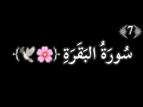 سورة البقرة سوداء كرمات قران شاشة سوداء بدون حقوق كروما قرآنية بصوت الشيخ محمد صديق المنشاوي 7
