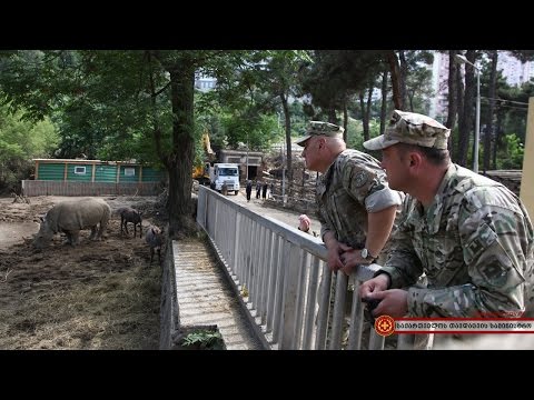 გენერალური შტაბის უფროსმა სტიქიის ზონა მოინახულა