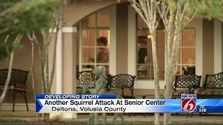 Another squirrel attack at Deltona retirement home