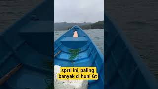 Lokasi pemancingan gt di pantai selatan #spotmancing #fishing #beach #mancinggt #ikan
