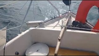 🇬🇧 Sheet to tiller, simple setup 🇬🇧  | Nordic Sailing 8 #sailinglifestyle #sailing