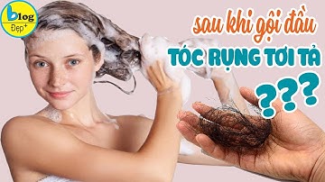 Tóc rụng nhiều sau khi gội đầu: Nguyên nhân và Cách giải quyết