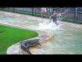 Robert irwin with scrappa the fastest croc at australia zoo