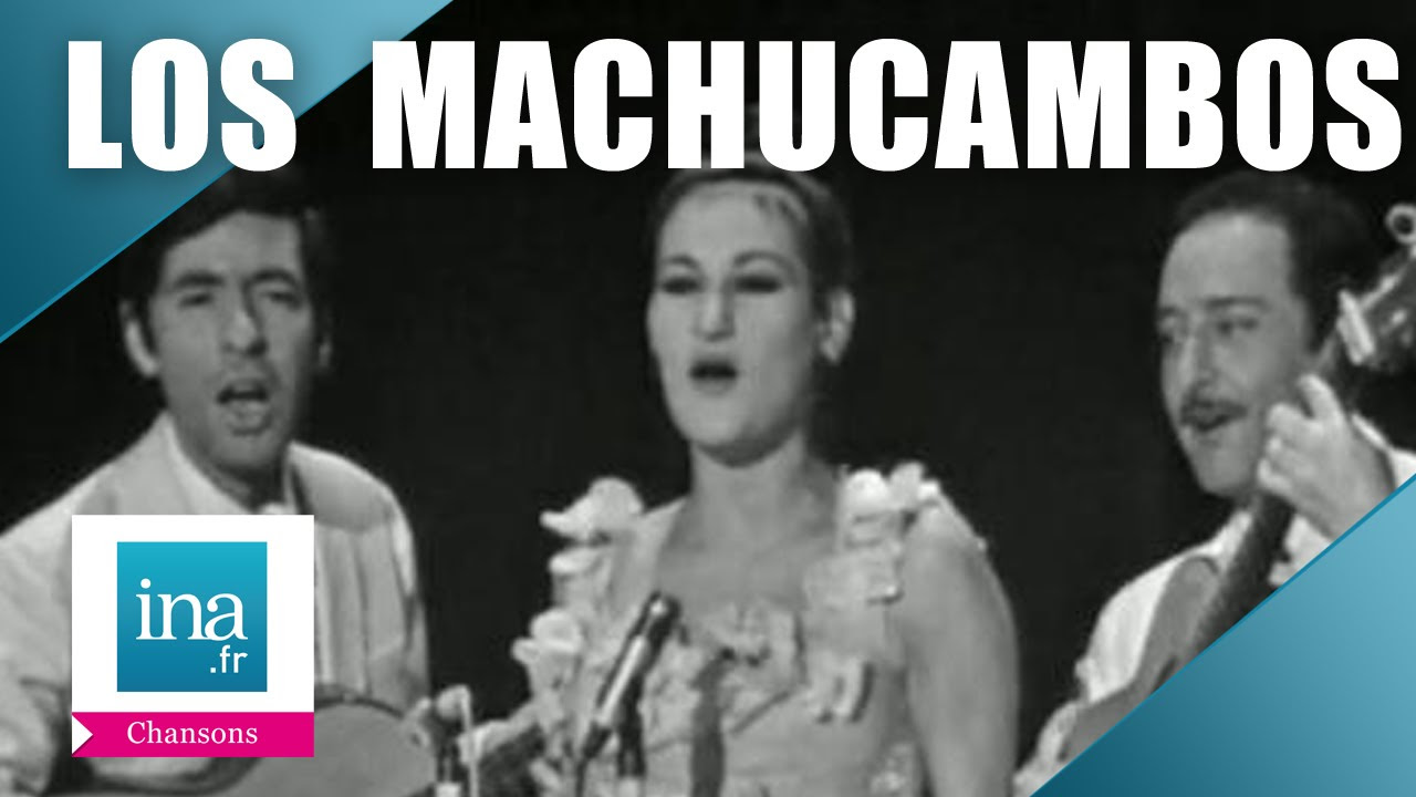 Los Machucambos Cha cha cha  Archive INA