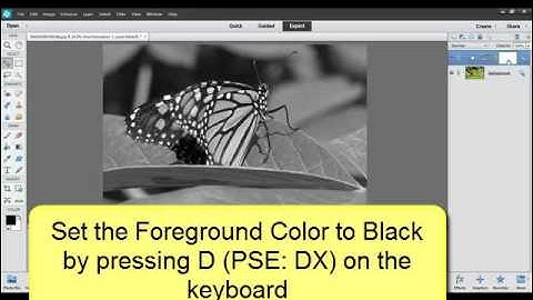 Advantages of Editing with an Adjustment Layer in Photoshop or PSE
