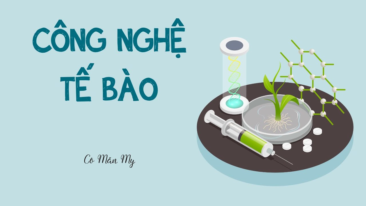 Công nghệ tế bào (phần 1) - Sinh học 10 - Kết nối tri thức với cuộc sống -  OLM.VN
